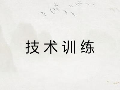 技术训练