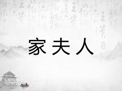家夫人