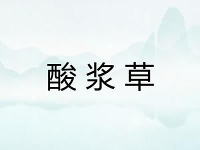 酸浆草