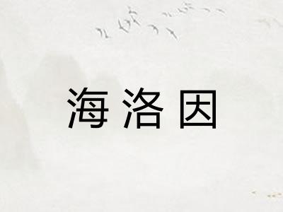 海洛因
