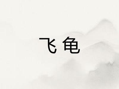 飞龟
