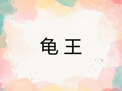 龟王