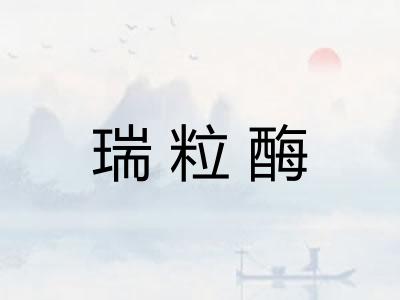 瑞粒酶