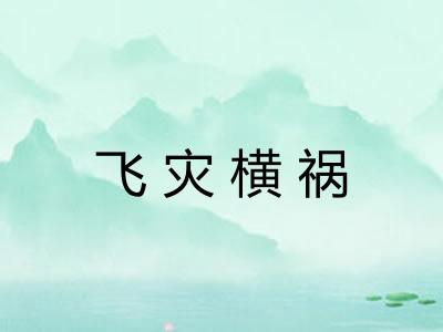 飞灾横祸