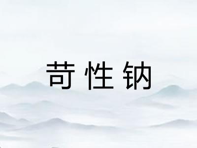 苛性钠