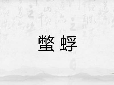 蟞蜉