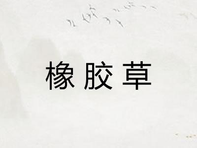 橡胶草