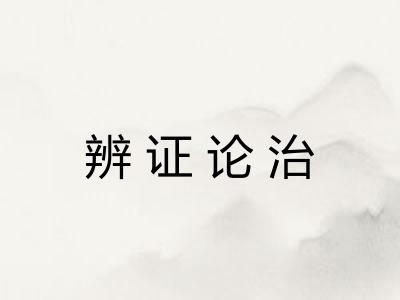 辨证论治