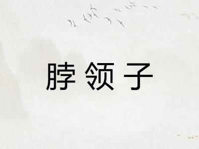 脖领子