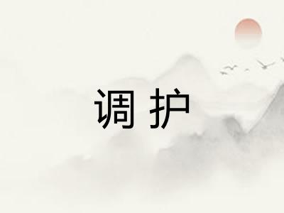 调护