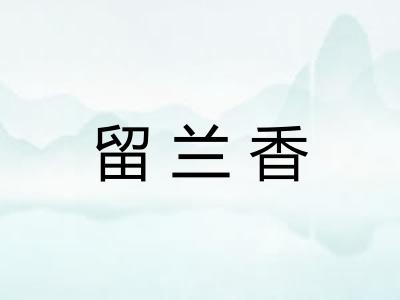 留兰香