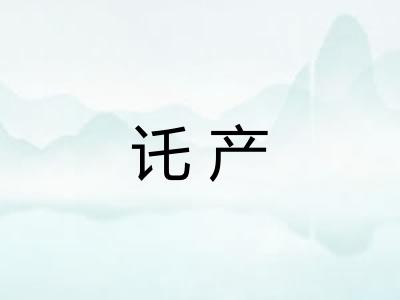 讬产