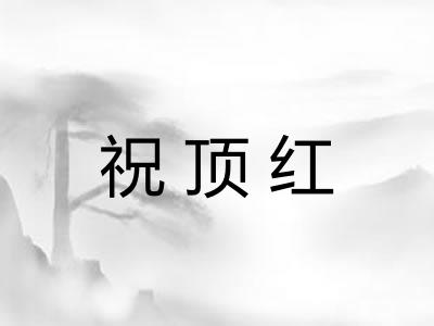祝顶红