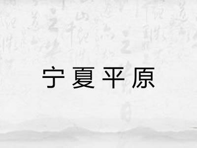 宁夏平原