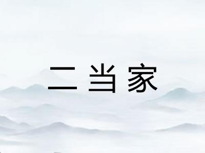 二当家