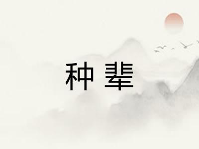 种辈