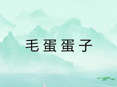 毛蛋蛋子