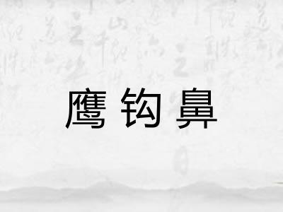 鹰钩鼻