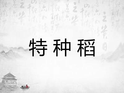 特种稻