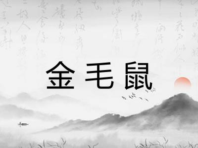 金毛鼠