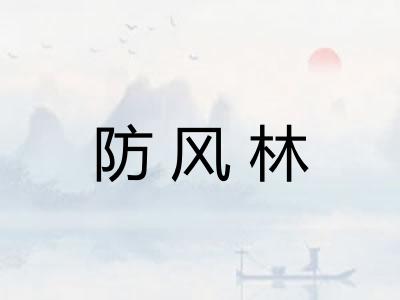 防风林