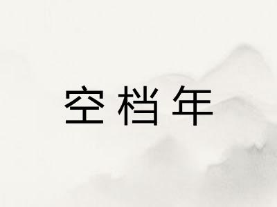 空档年