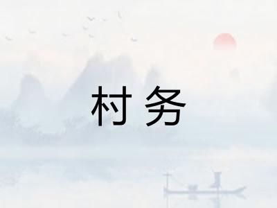 村务
