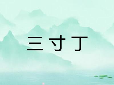 三寸丁