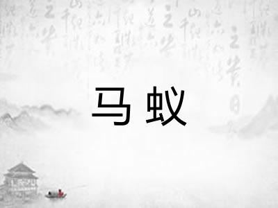 马蚁