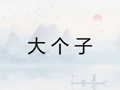 大个子