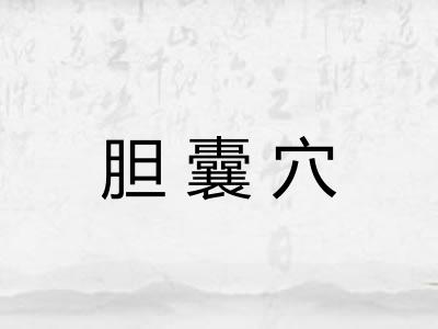 胆囊穴