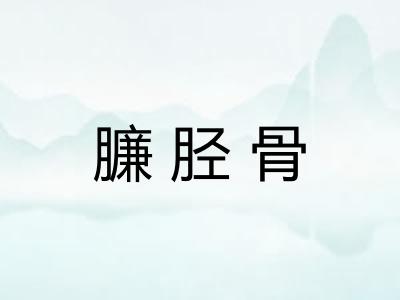 臁胫骨