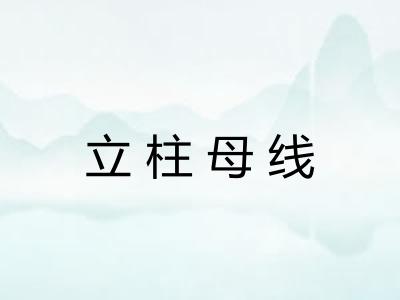 立柱母线
