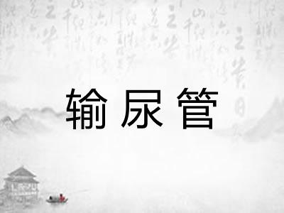 输尿管
