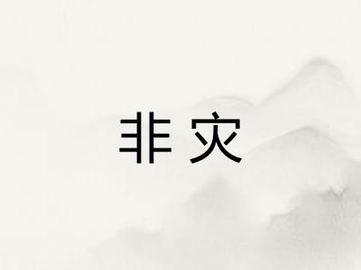 非灾