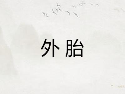 外胎