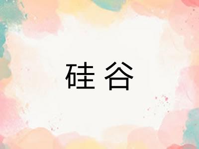 硅谷