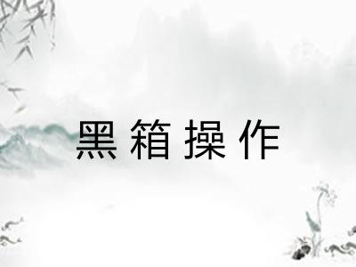 黑箱操作