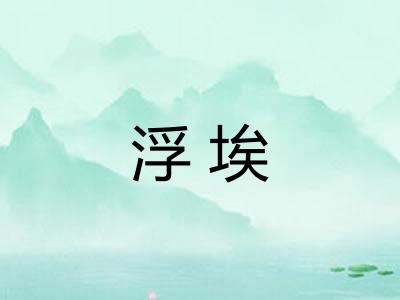 浮埃