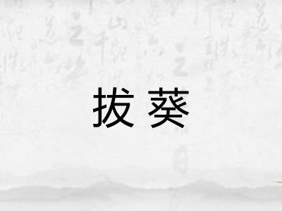 拔葵