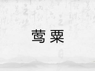 莺粟