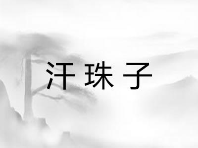 汗珠子