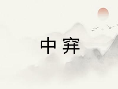 中穽