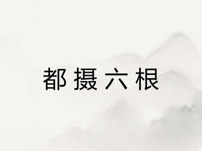 都摄六根