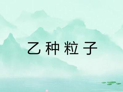 乙种粒子