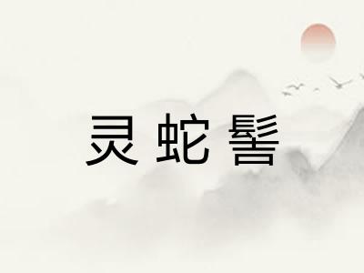 灵蛇髻