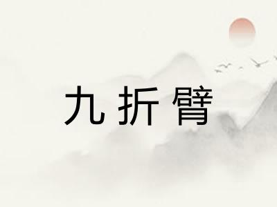 九折臂