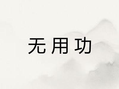 无用功
