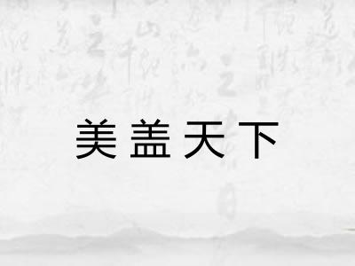 美盖天下