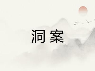 洞案